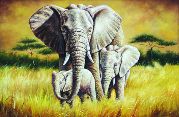 大象油画图片