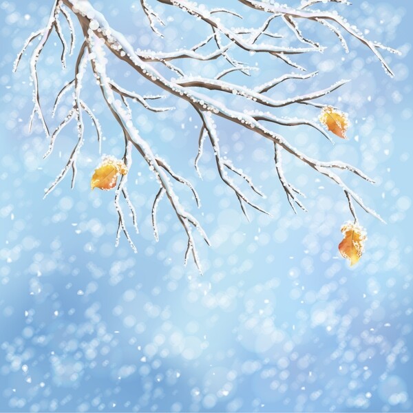 冬天里的树枝插画