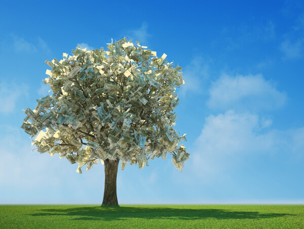 挂满钱的树才是摇钱树