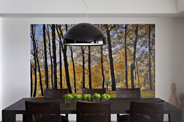现代简约客厅植物挂画室内装修效果图