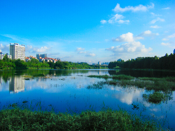 洪湖公园水景图片