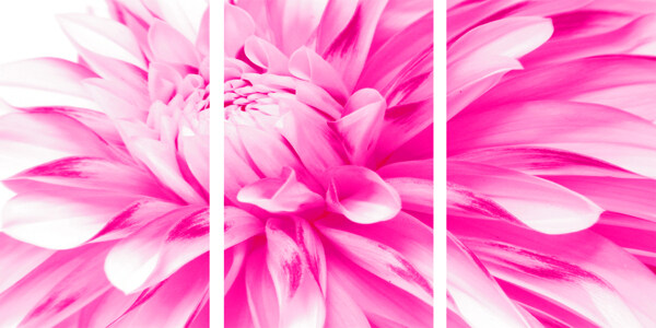粉色花朵拼接装饰画
