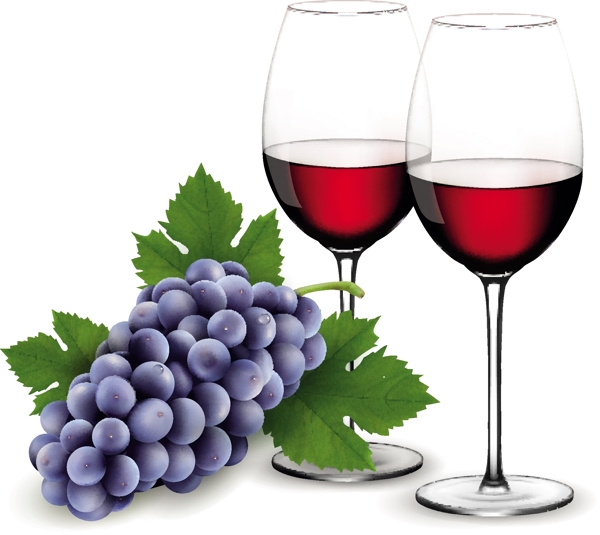 紫葡萄与葡萄酒的设计向量