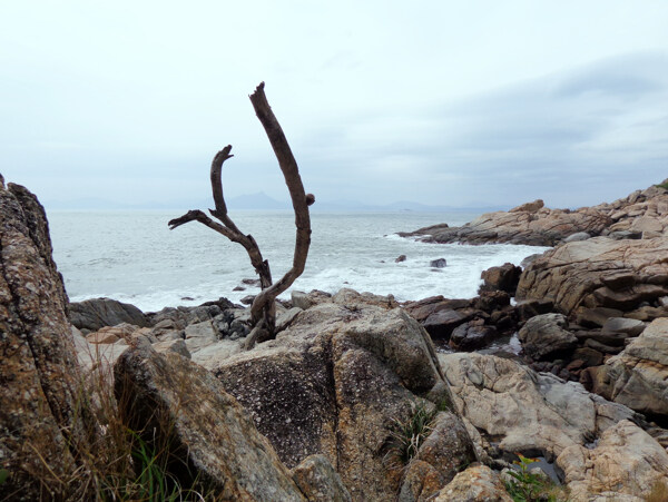 海景图片