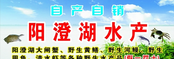 阳澄湖大闸蟹