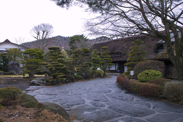 日本忍野八海风景