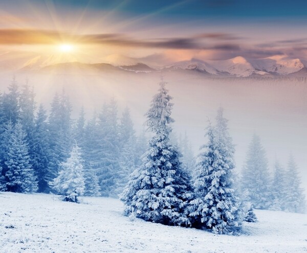 冬日促销阳光温暖雪地psd图层