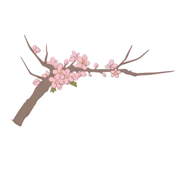 手绘粉色的花桃花桃枝