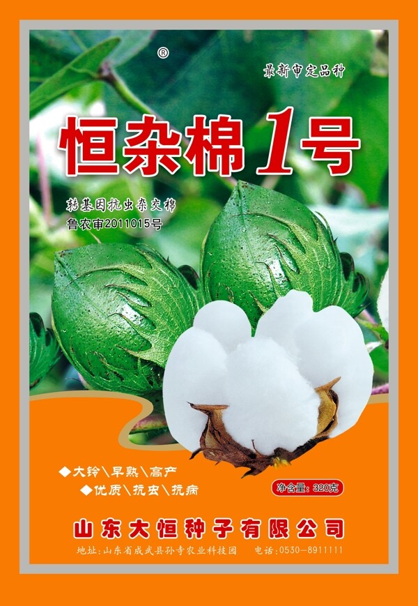 棉花1号图片