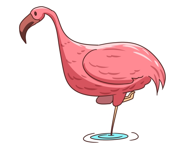 粉色火烈鸟动物