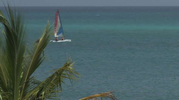 棕榈叶和海洋在特克斯和凯科斯岛的股票视频