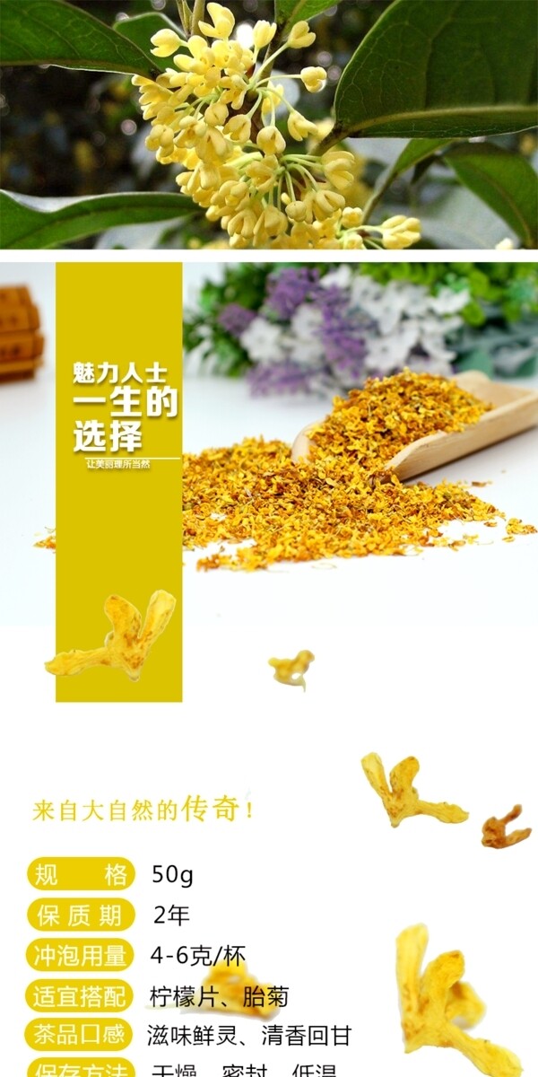 桂花花茶淘宝详情页