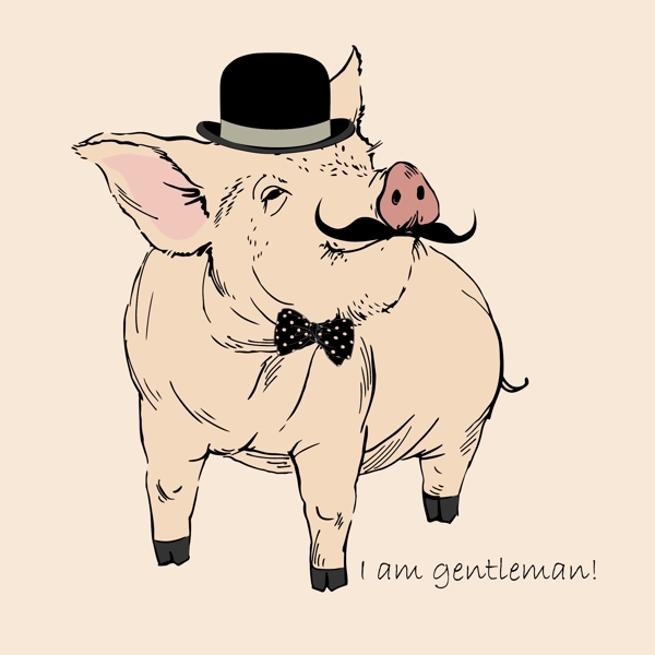 可爱小猪猪动物绅士矢量素材
