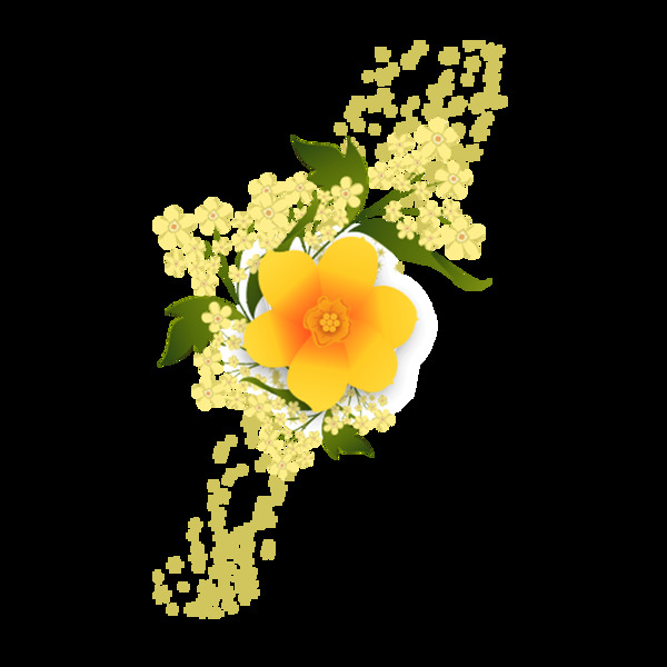 黄色小花png透明元素