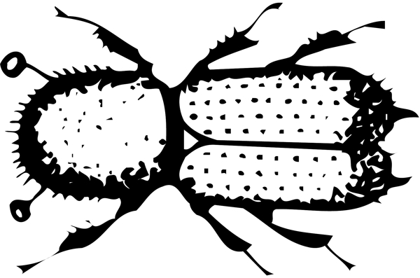 甲虫昆虫矢量素材EPS格式0092