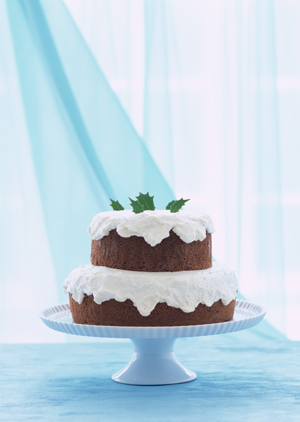 全球首席大百科水果糕点甜点点心美味甜品蛋糕面包
