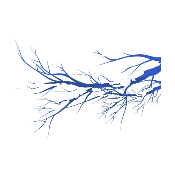 简约手绘蓝色冬季树枝透明素材