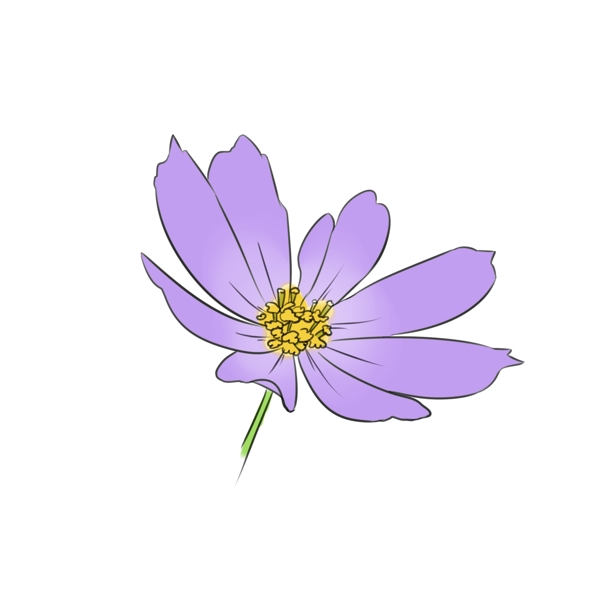 漂亮的紫色花朵插图