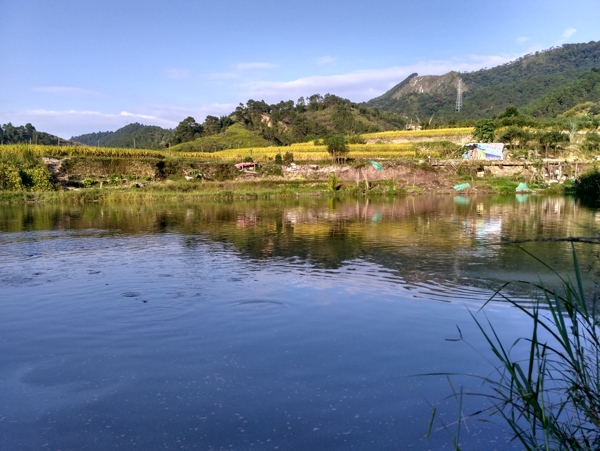 山川鱼塘