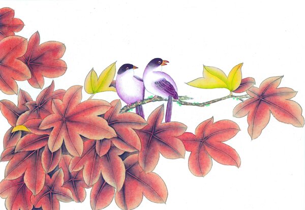 花鸟植物绘画图片