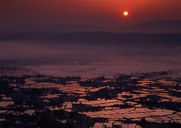 夕阳下的梯田