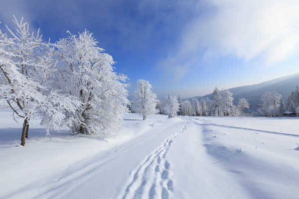 雪景图片