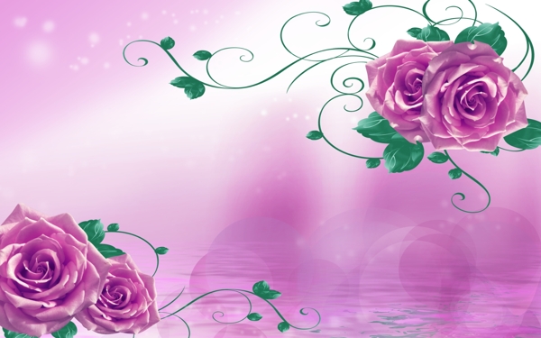 紫色妖姬玫瑰花壁画图片
