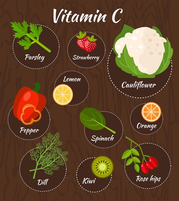 含维生素C的果蔬矢量图