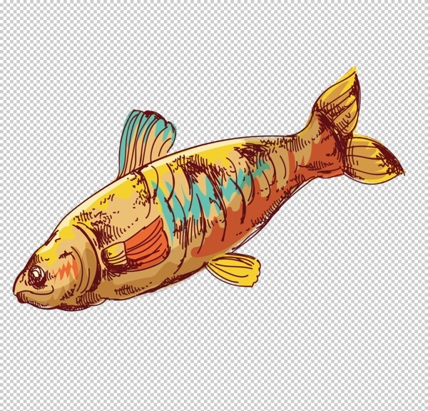 彩色手绘海洋鱼类