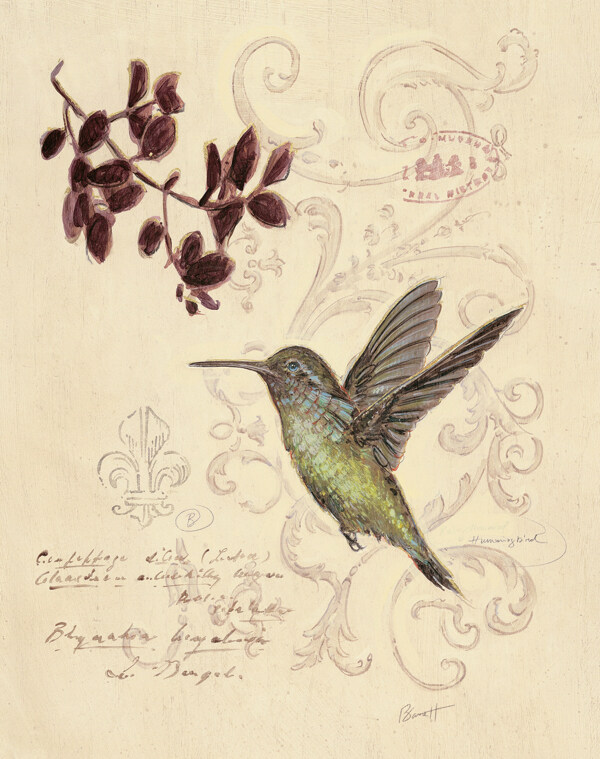 植物鸟雀装饰绘画