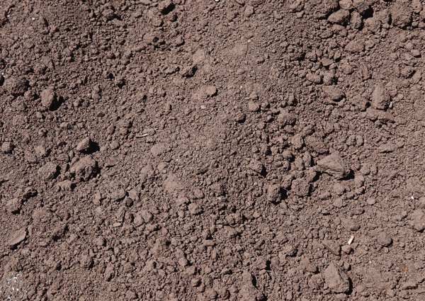 干裂泥沙背景图片