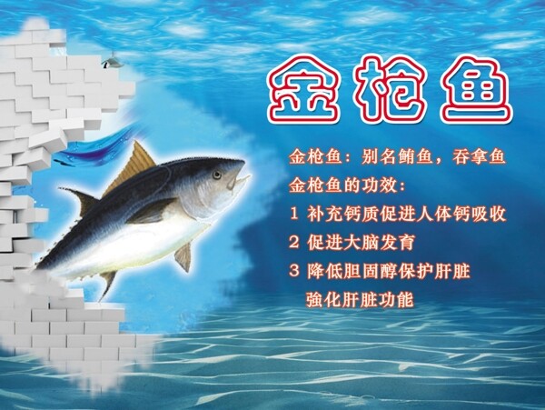 海底金枪鱼海报图片