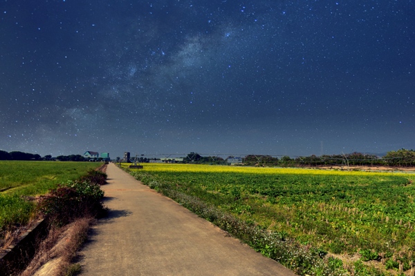 油菜花地