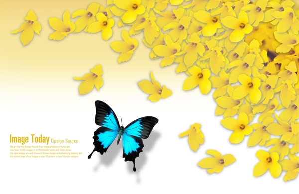 黄色的花瓣背景与蝴蝶PSD分层素材