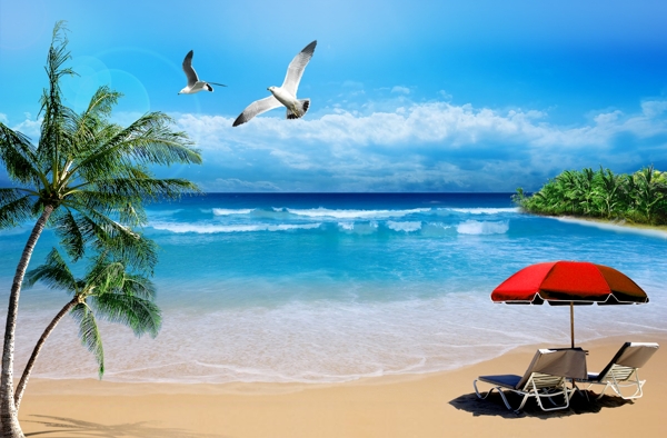 沙滩海岸线椰子树碧蓝天空