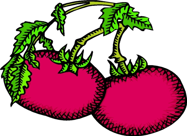 卡通蔬菜水果73