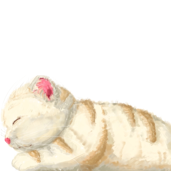 手绘一只趴着的温暖肥猫