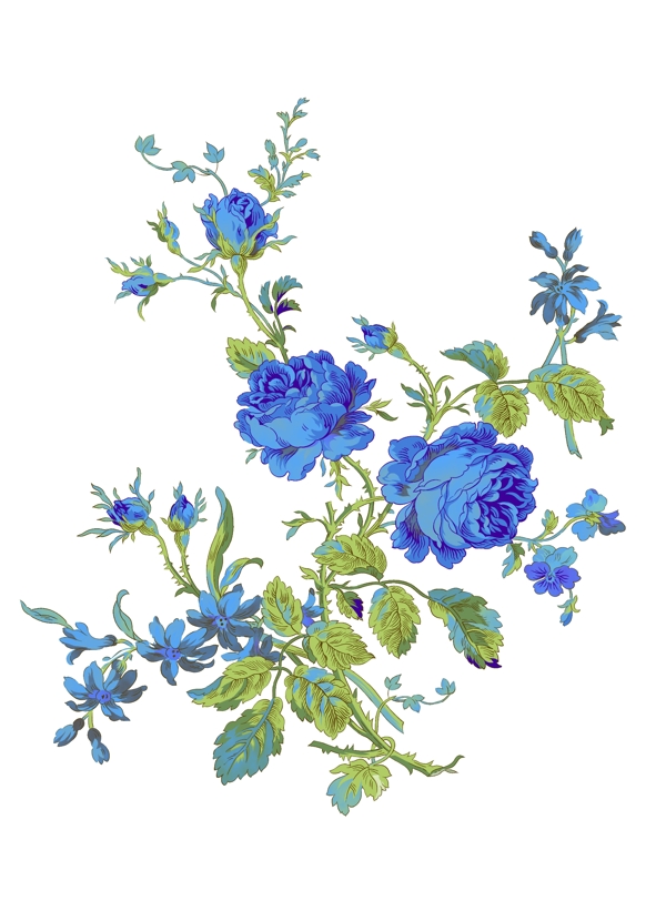 中国元素手绘水彩花卉蓝色大丽花