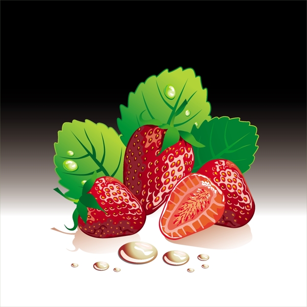 多汁的新鲜草莓02集向量