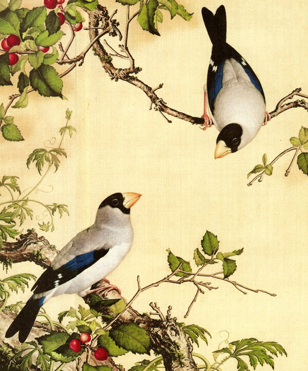 位图插画时尚插画植物插画名家免费素材