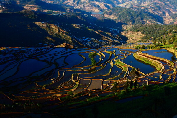 红河梯田