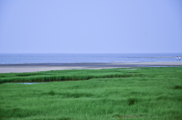 江西鄱阳湖图片