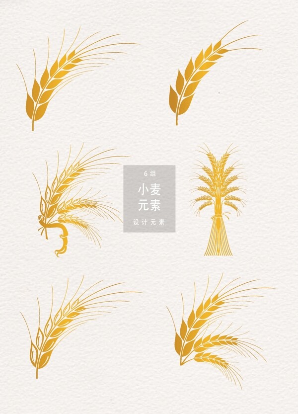 小麦设计元素