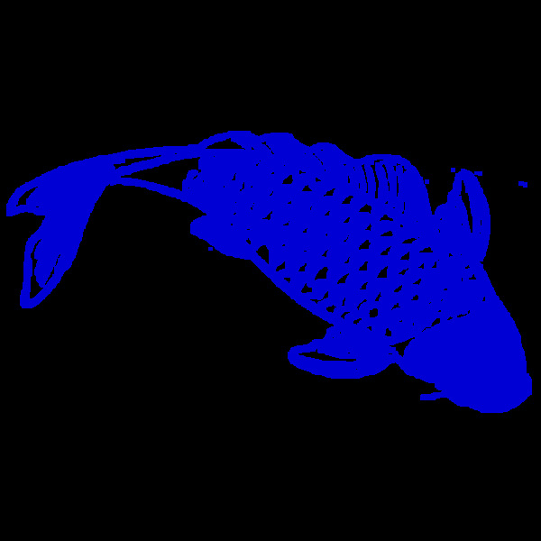 蓝色锦鲤