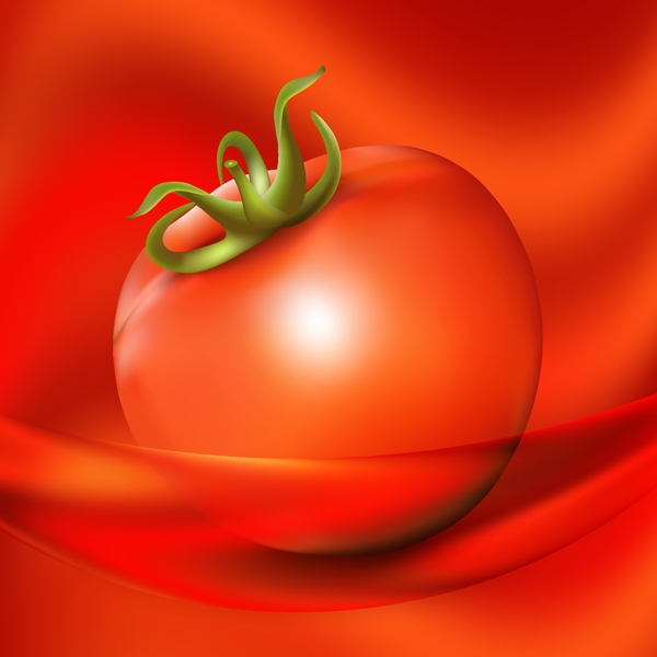 卡通番茄西红柿蔬菜矢量
