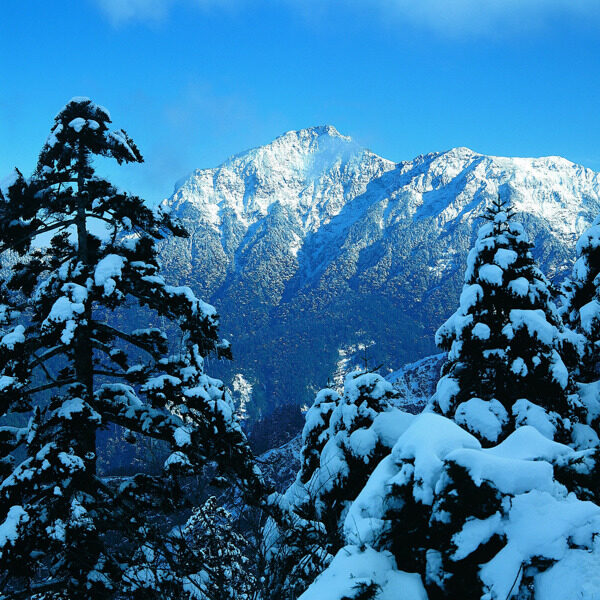 冬天雪景