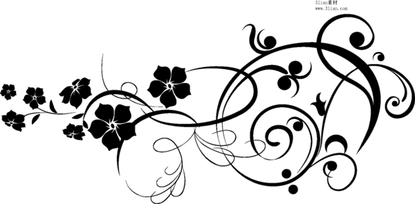 黑白花朵与花纹