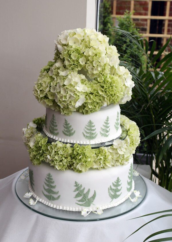 蕨类结婚蛋糕图片