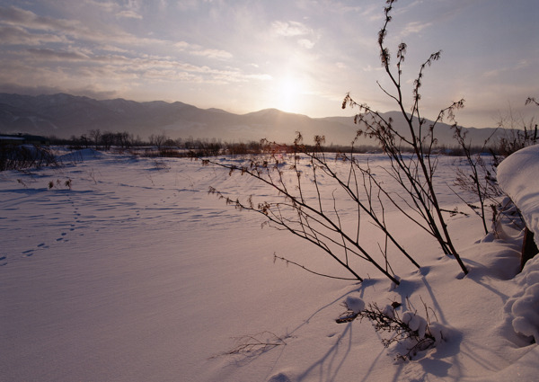 冰天雪地