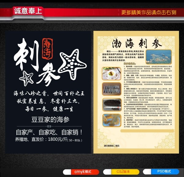 海参创意宣传单介绍图片